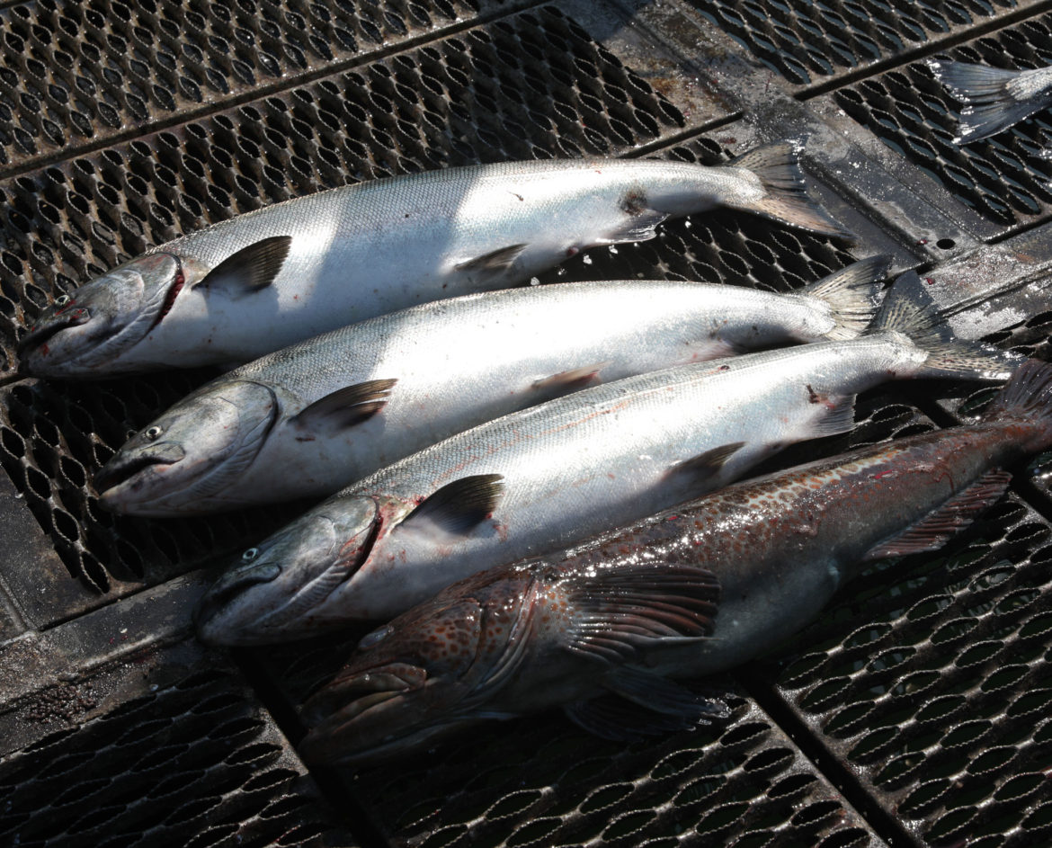 Localism Might Be More Important Than You Think