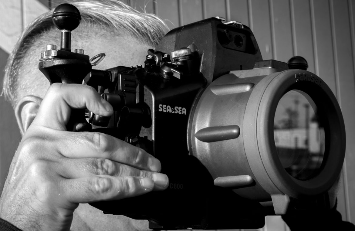 Bill Carroll – Inspiring Stories of Diving Activism