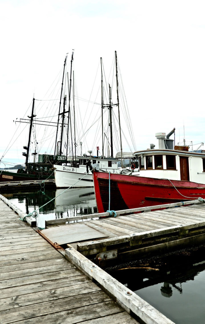 West Coast Fisheries Management: For Whose Benefit? – Part III