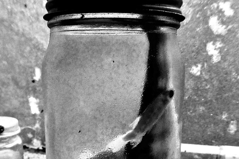 Broughton and Gilford Coho Hatchery - Gilford Island, BC